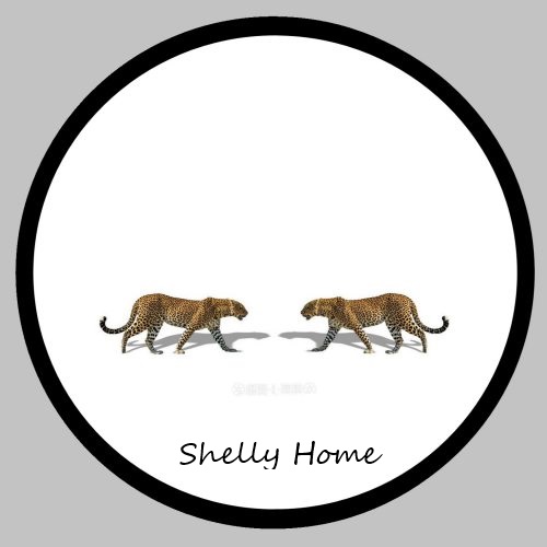 Round plate 6-13in···